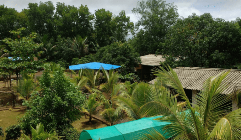 Read more about the article NS Brothers Farm stay in Kolad